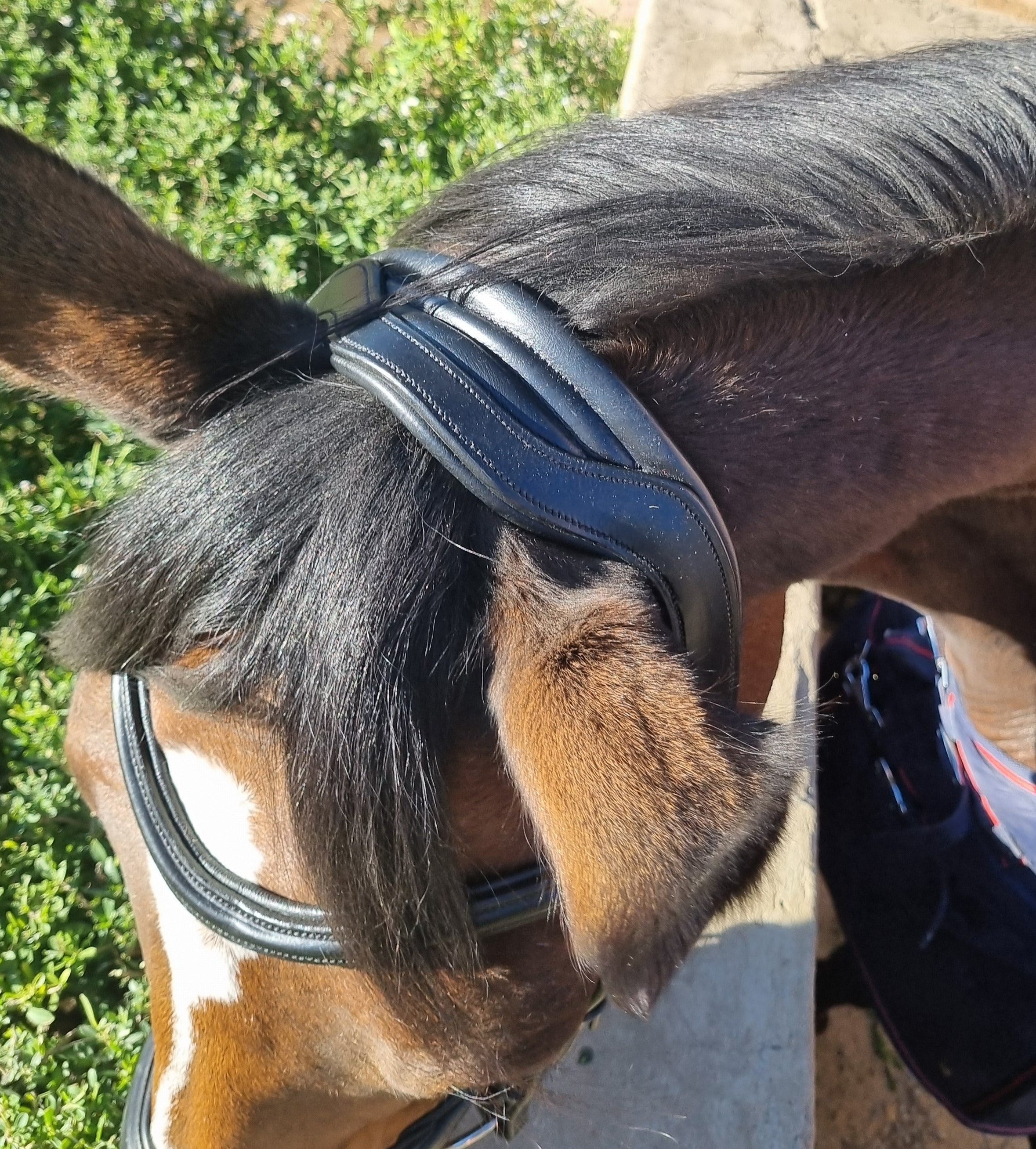 Bridle Anatomic Padded Solo